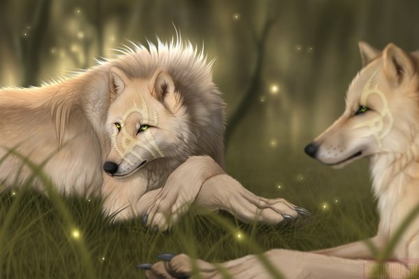 Пара красивых волков в аниме стиле