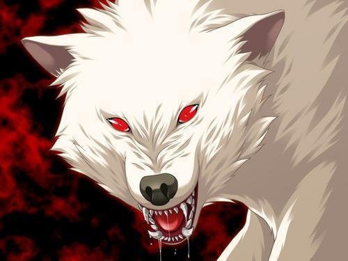 Злой белый волк