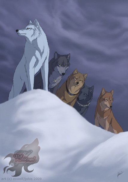 Волки из аниме волчий дождь
