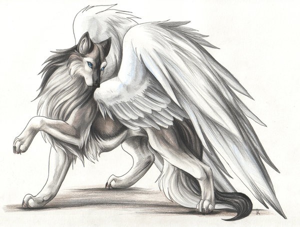 картинки волков аниме с крыльями